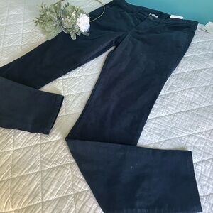 NWT Stylus Skinny Leg Boho Blue Velvet Like Skinny Pants